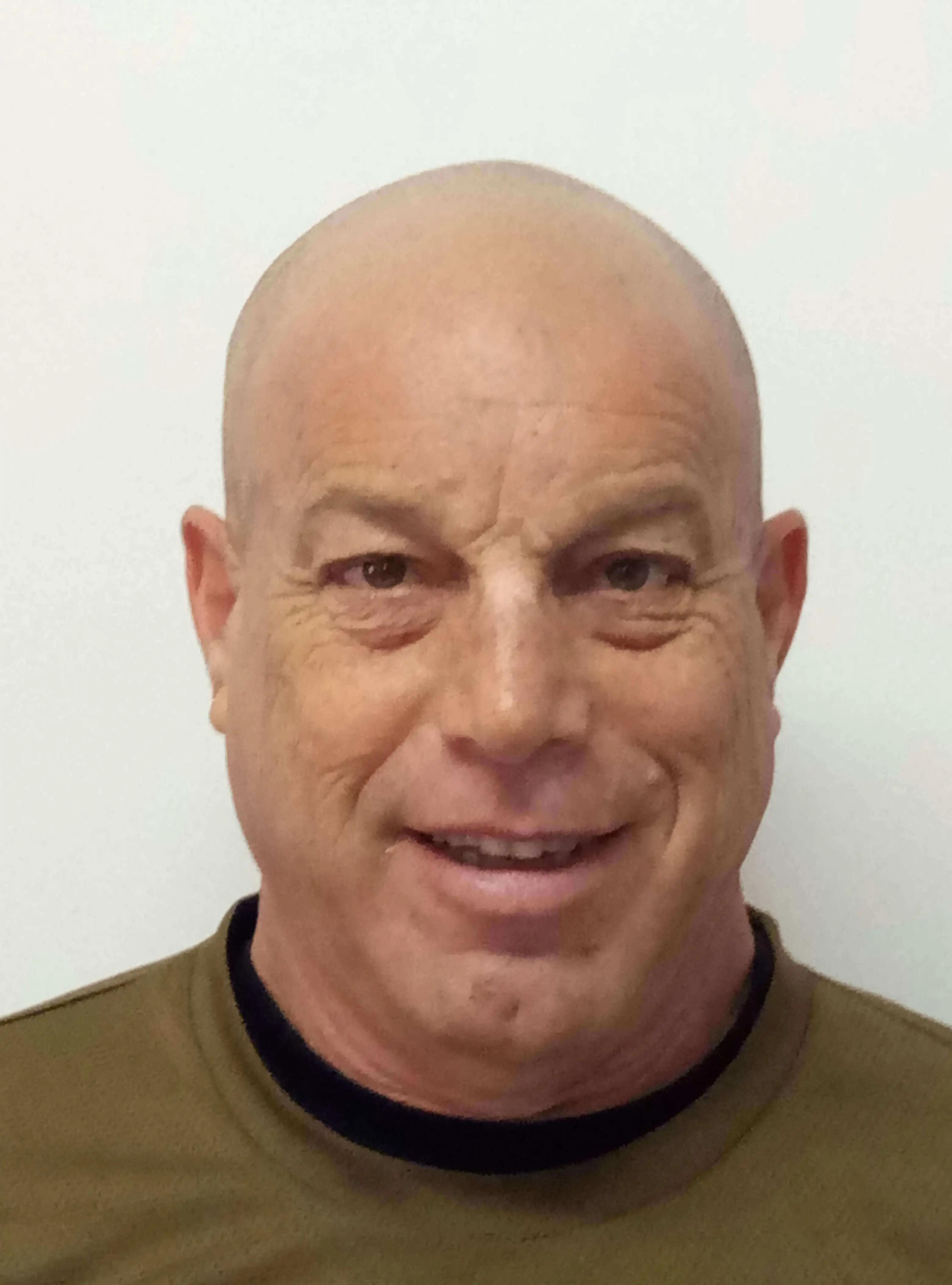 מיכאל הולנדר